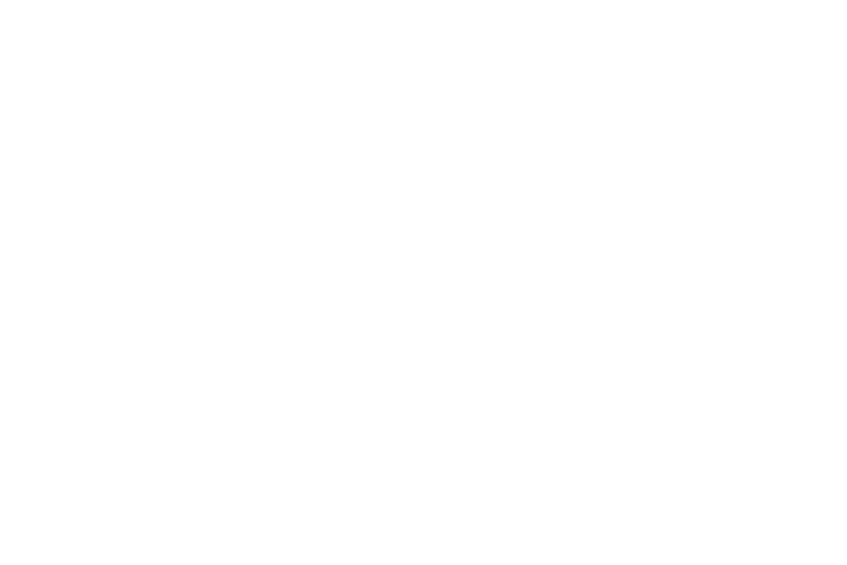 Singularizar